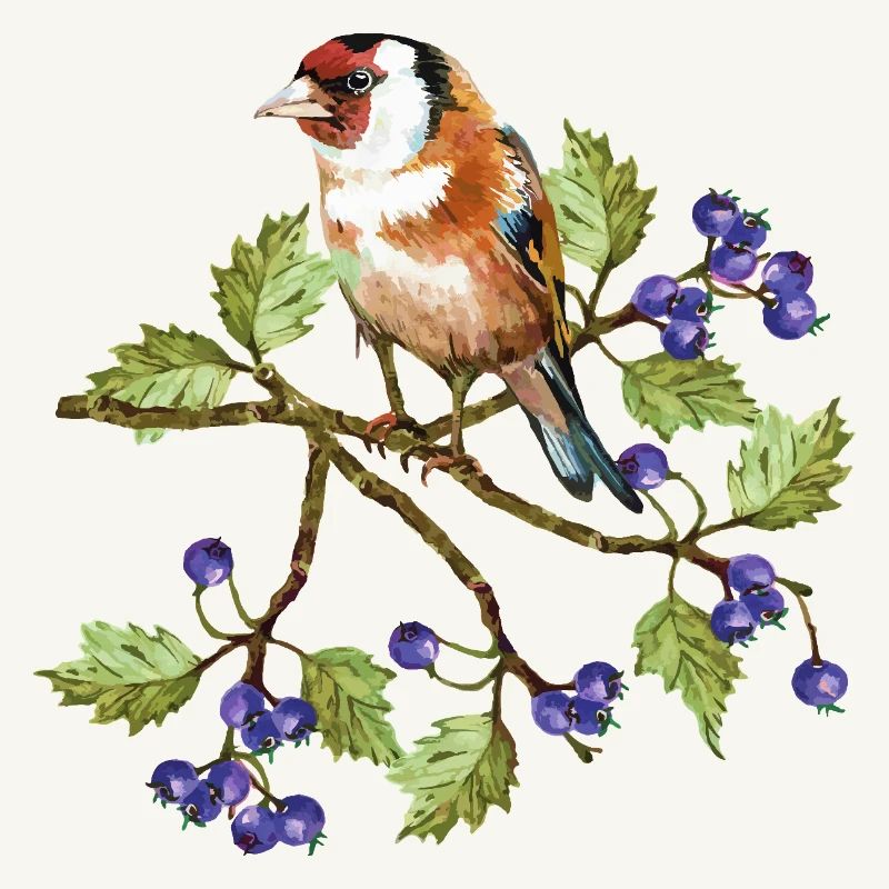 Bunter Vogel