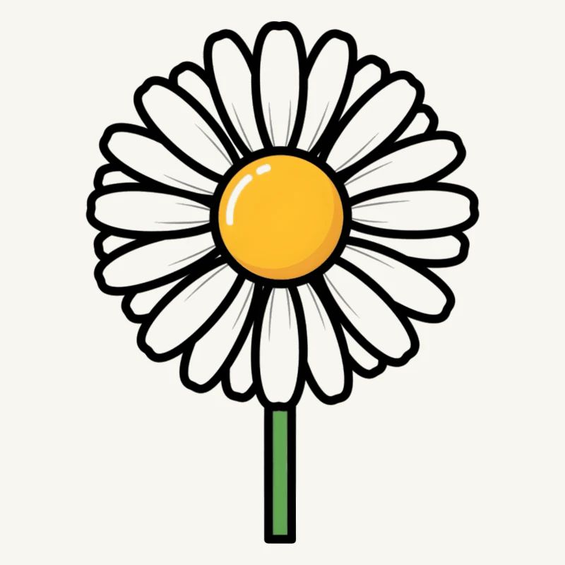 Gänseblümchen