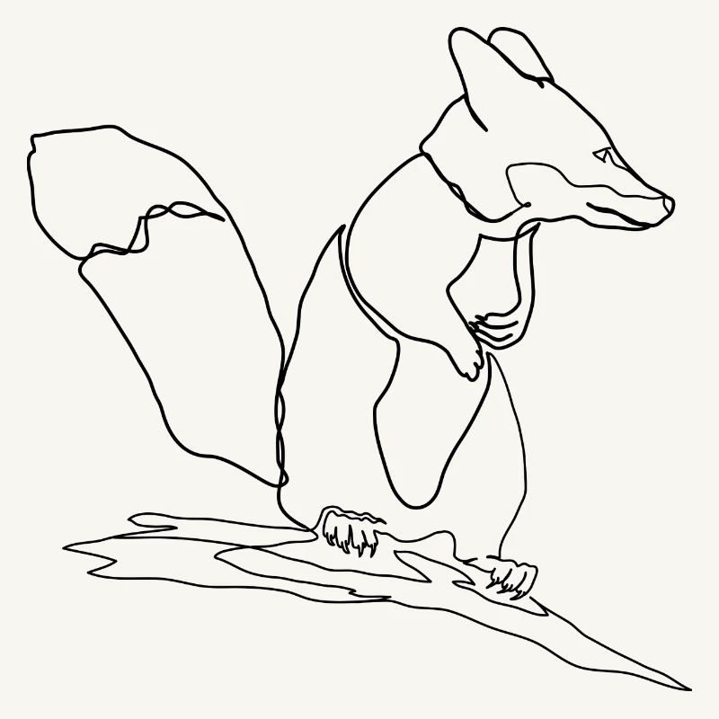 Fuchs Eichhörnchen Squirrel Fox