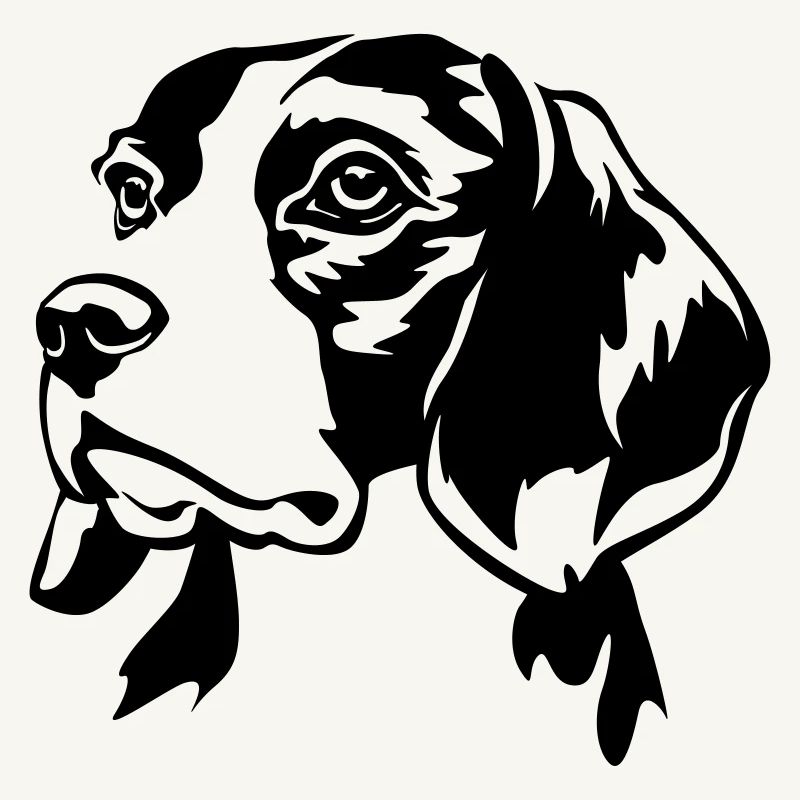 Beagle head