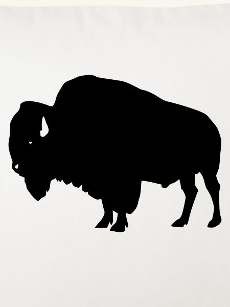 Bison