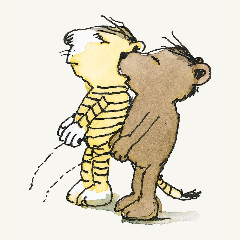 Janosch Tiger und Bär Pullern