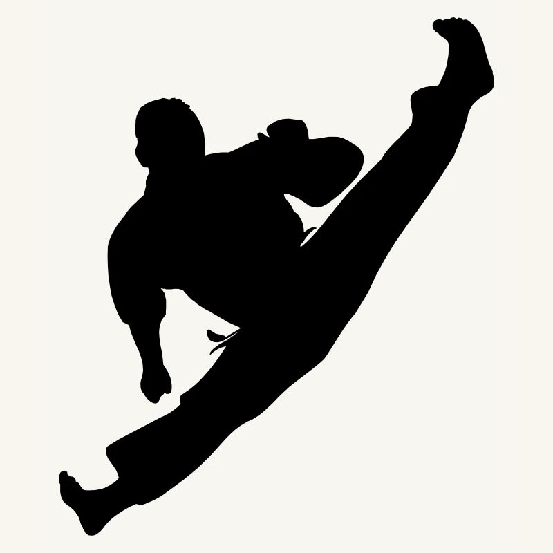 Jumpkick Geri Kick Karate oder Teakwondo