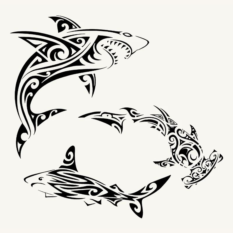 Requins polynésiens noirs