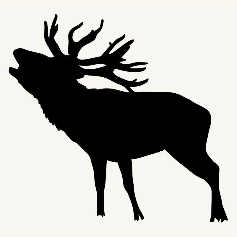 Hirsch