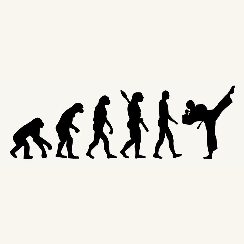 Evolution Karate