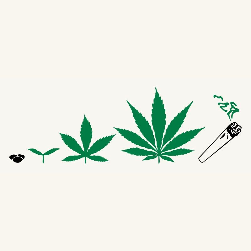 Cannabis development
