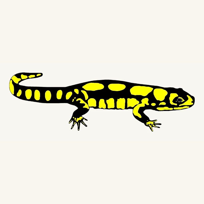 Salamander