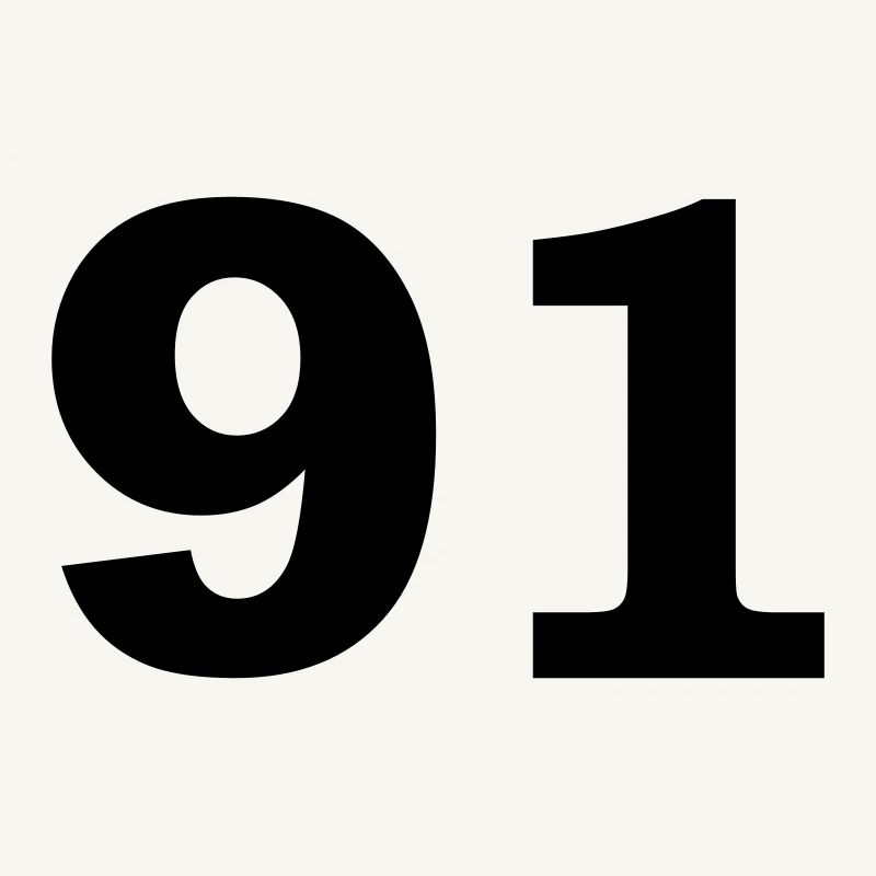 Number - 91 – Ninety One