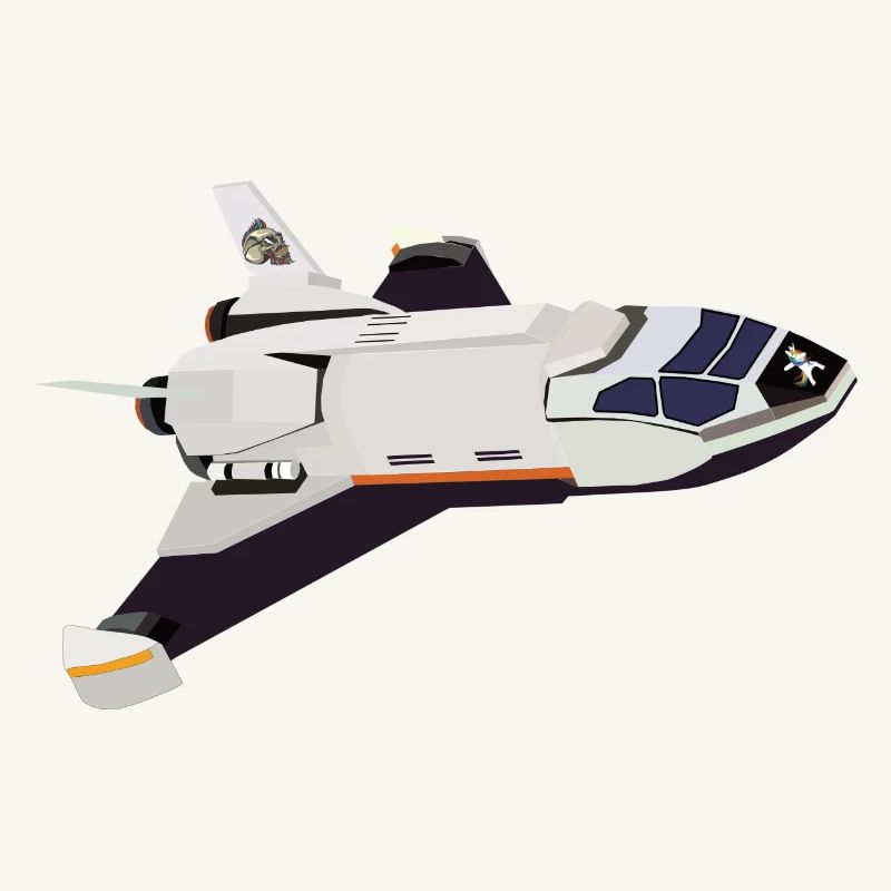 Space Shuttle Flight