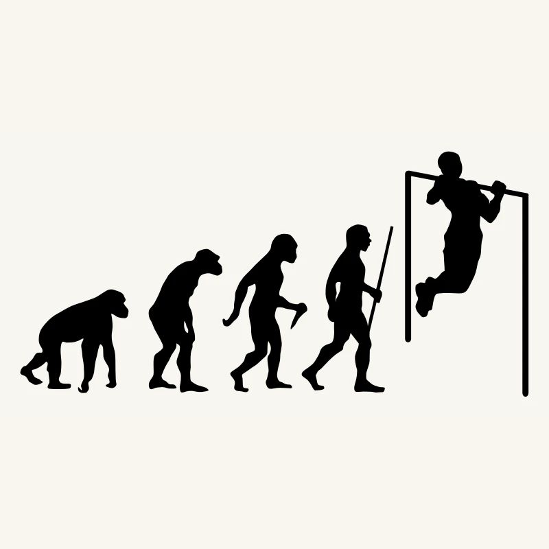 Evolution Pull Up