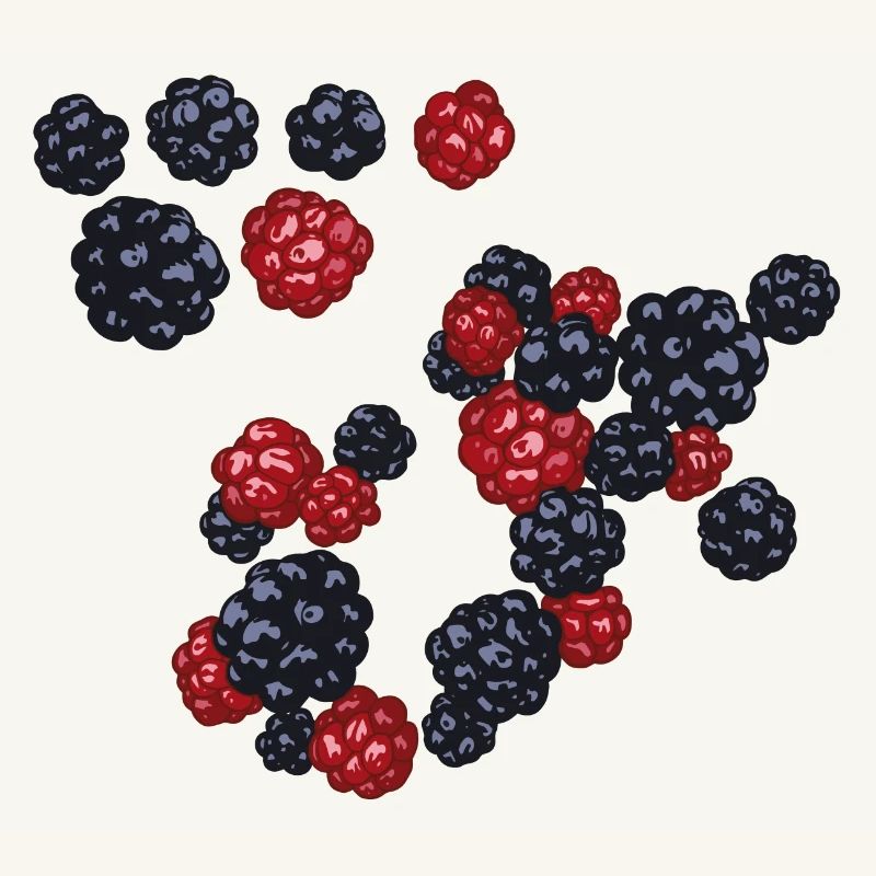 Brombeeren