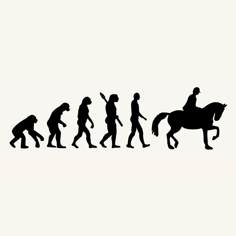 Évolution Cheval