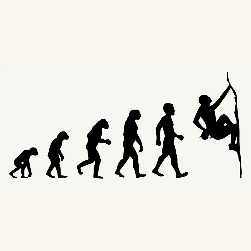 Boulder Evolution