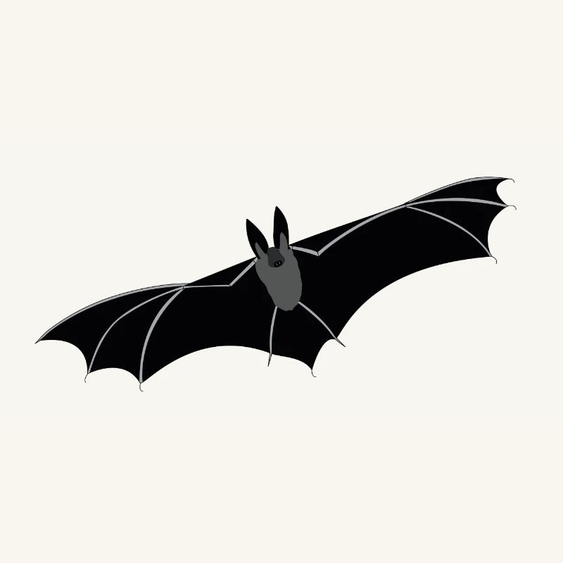 Fledermaus zu Halloween - Süßes oder Saures