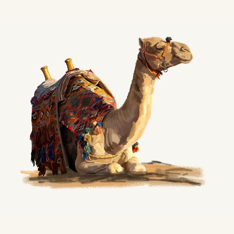 kamel