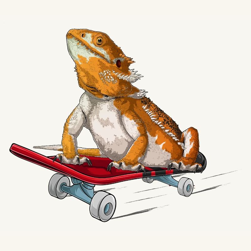Bartdrache auf einem Skateboard