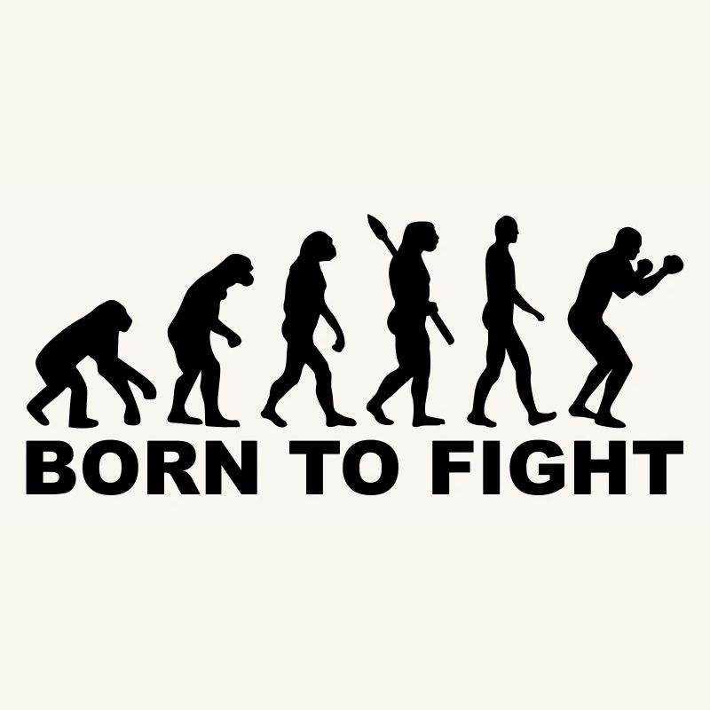 Boxen Evolution