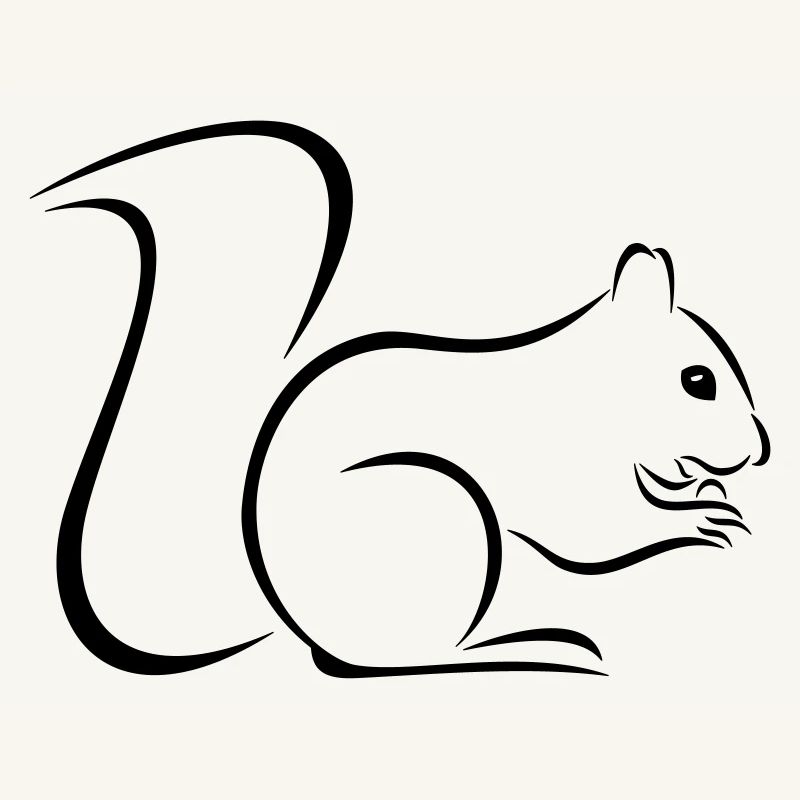 Eichhörnchen