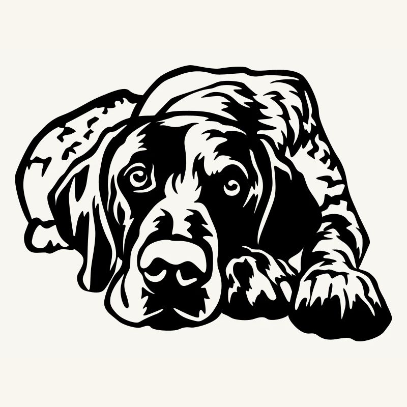 German Shorthaired Pointer