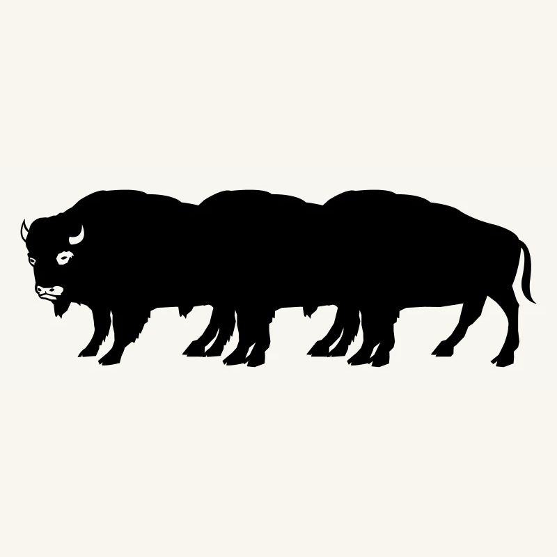 bisons