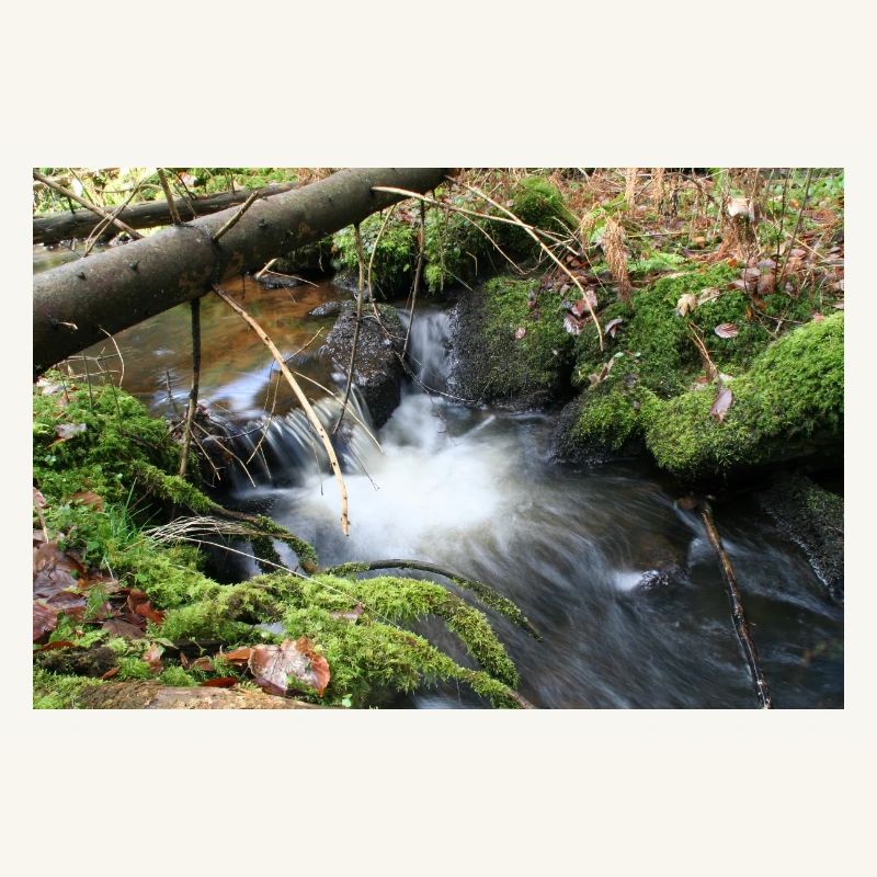 WALDBACH NAGOLDTAL