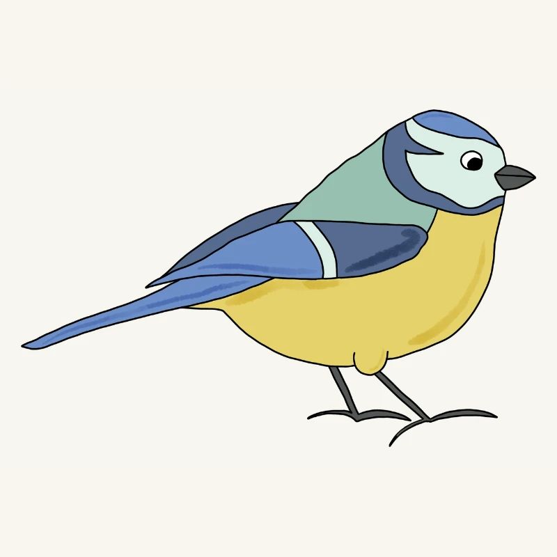 small blue, multicoloured