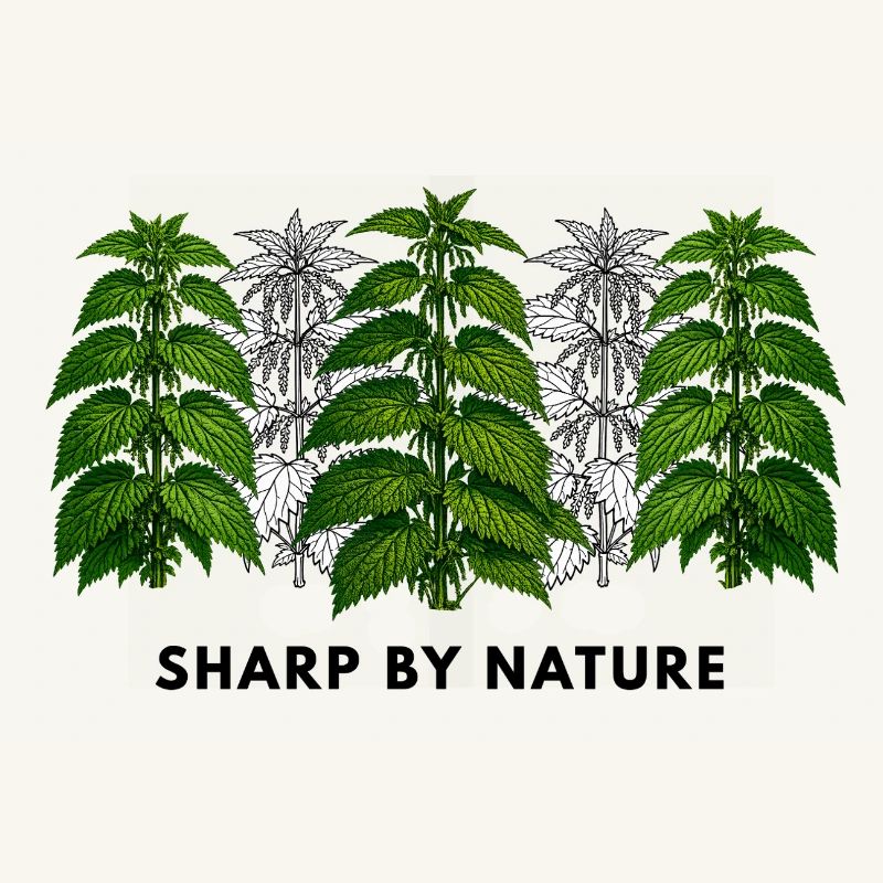 Stinging nettle is sharp by nature