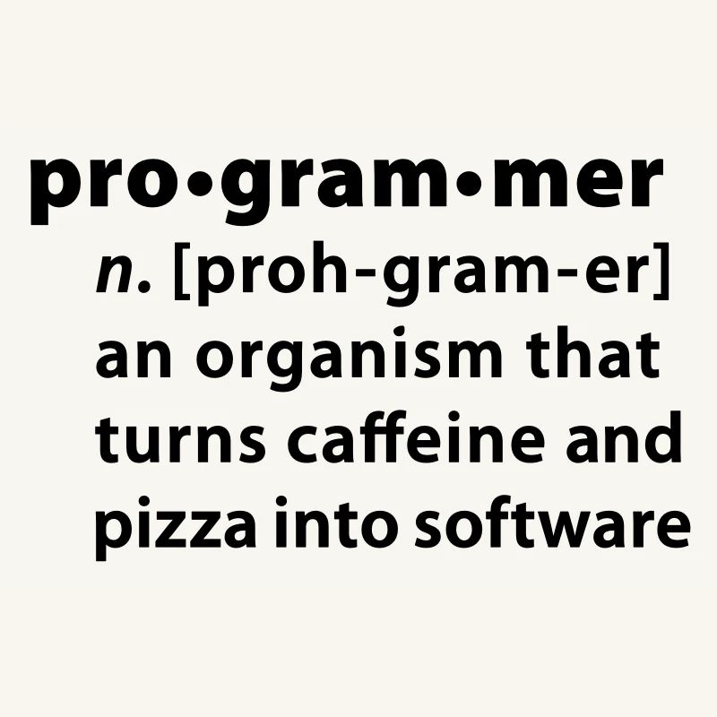 Programmdefinition - die Definition Programmer