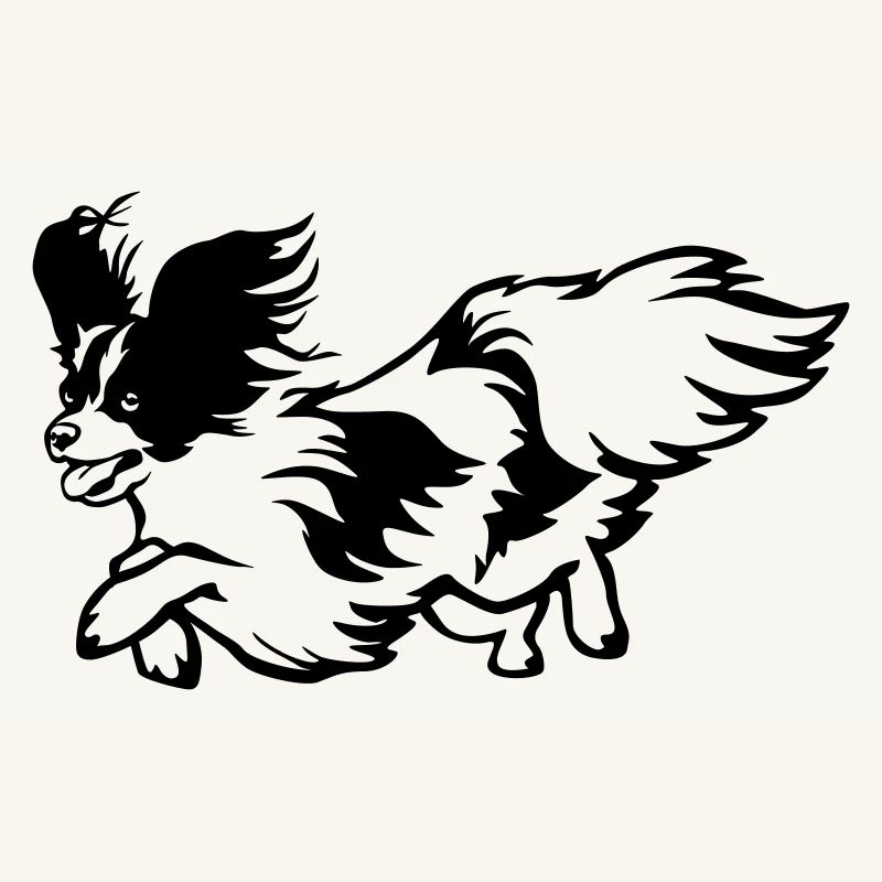 Papillon