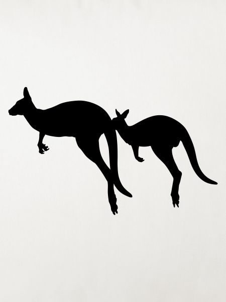 Känguru