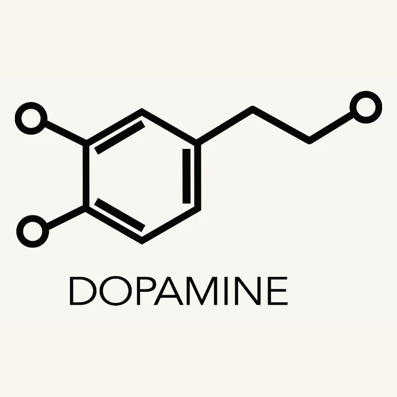 Conception scientifique minimaliste de la molécule de dopamine