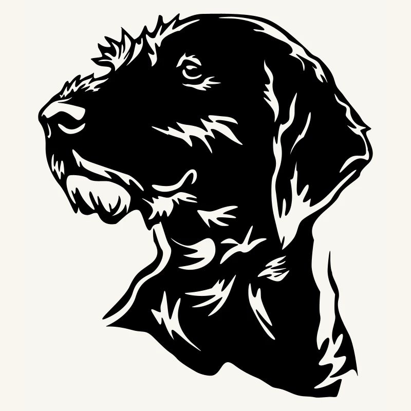 German Wirehaired Head