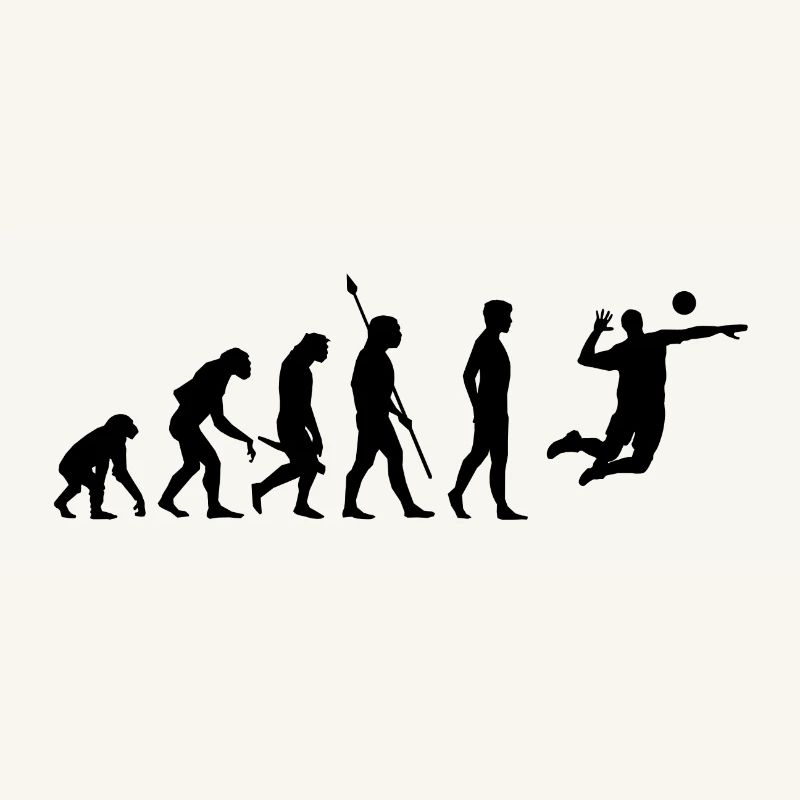 Volleyball Beach Volleyball Evolution