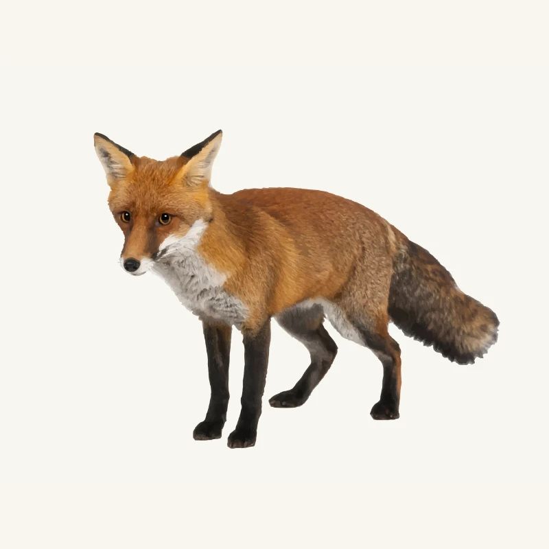 Fuchs