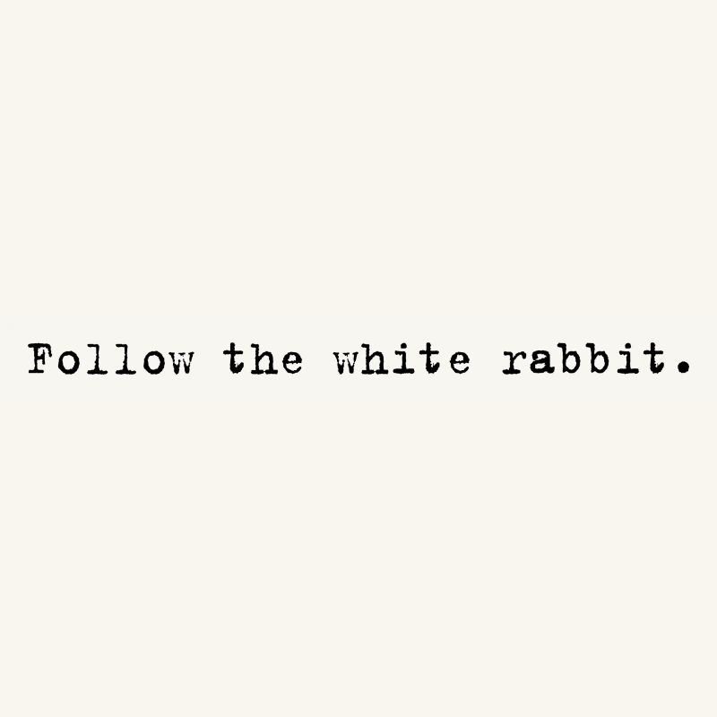 Follow the white rabbit Programming Informatik