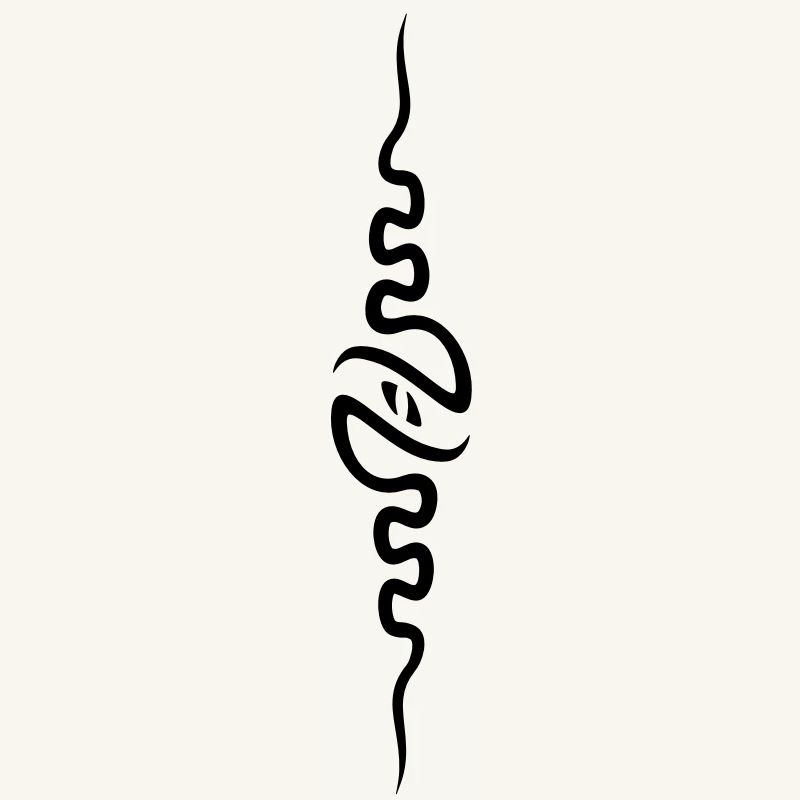spine_front