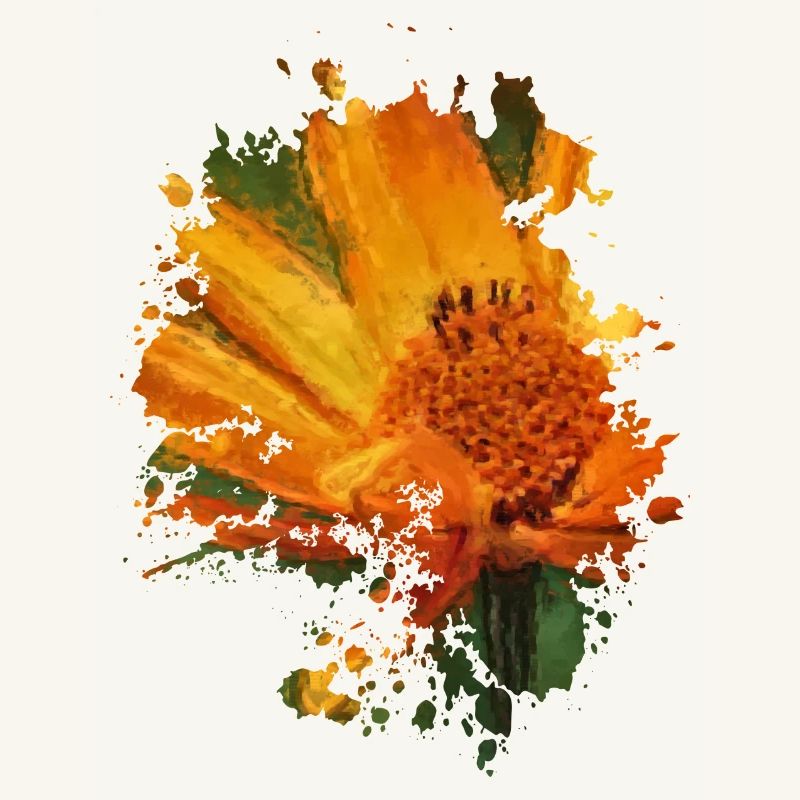 Blume