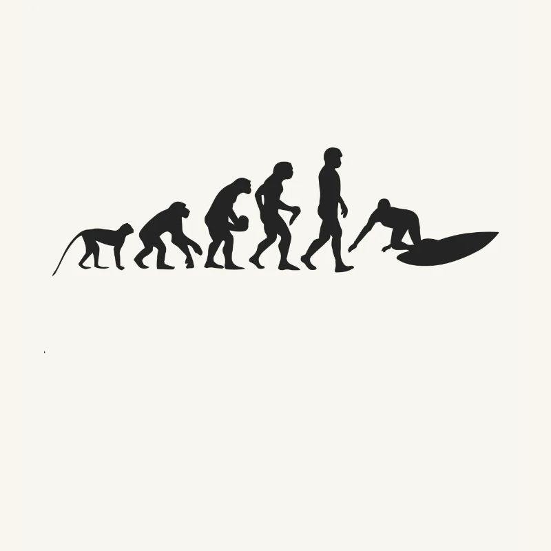 Evolution de surf