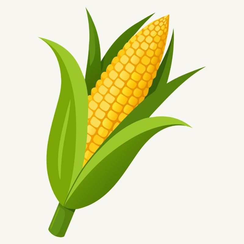 Corn stalk