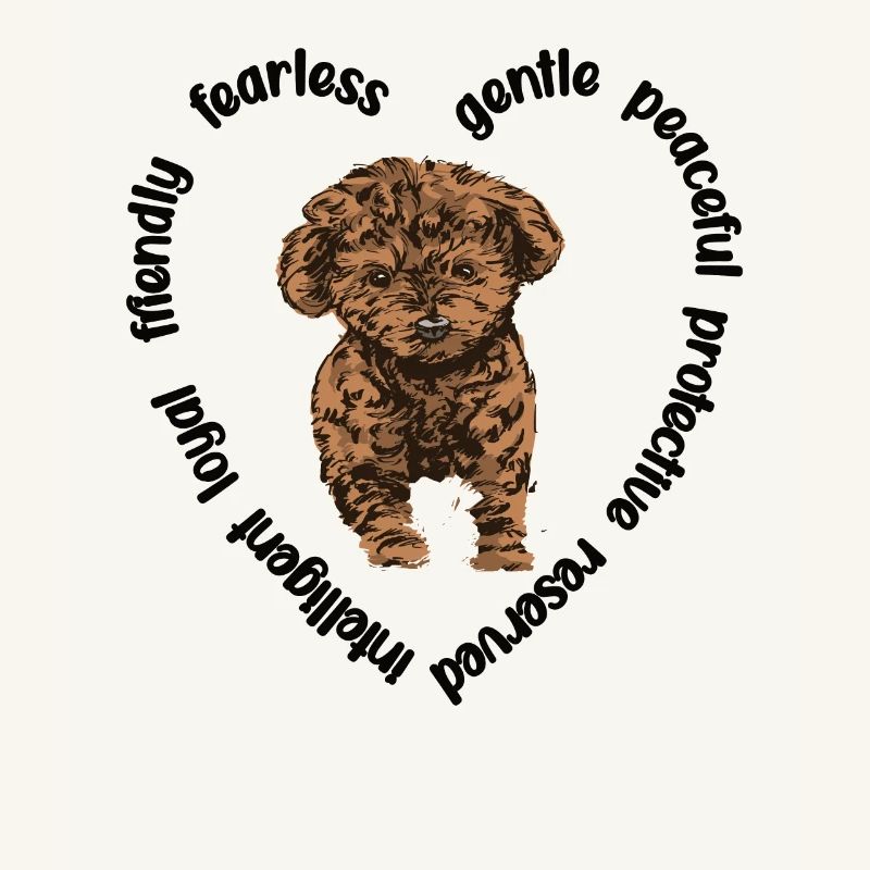 Cavapoo amoureux de chiens Cavoodle Mama Cavapoo