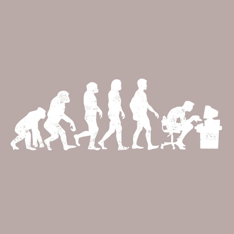 évolution des programmeurs codeur cadeau informatique