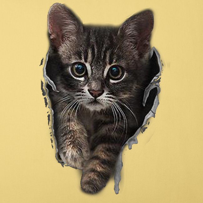 Vorschau: Katze Riss - Sofakissenbezug 45 x 45 cm