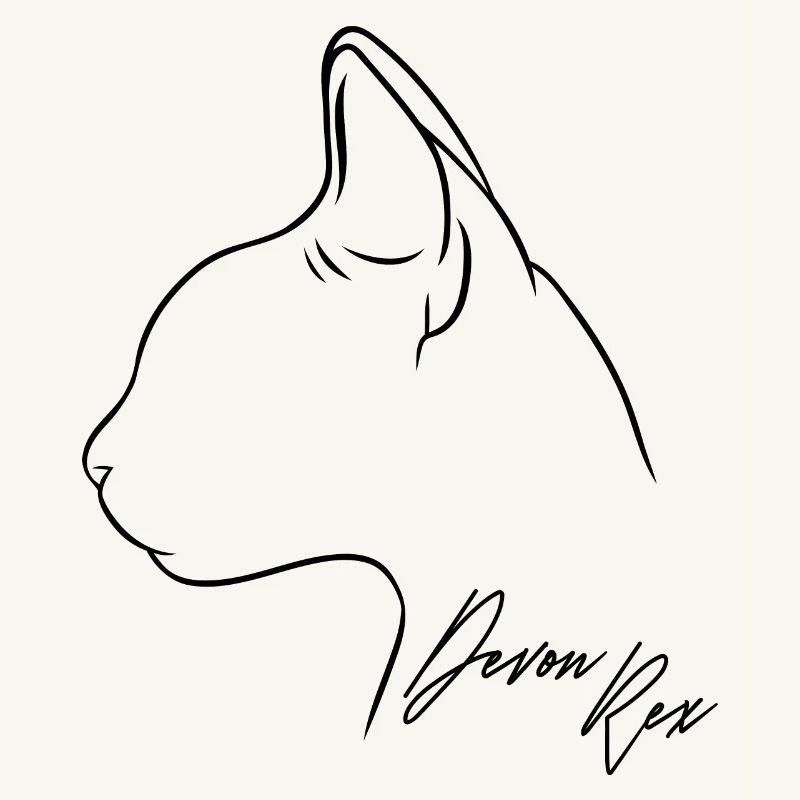 Devon Rex Profil Katzen Katze Wilsigns