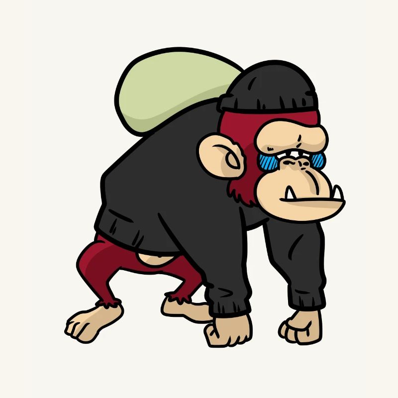 Robber Baboon monkey monkey baboons