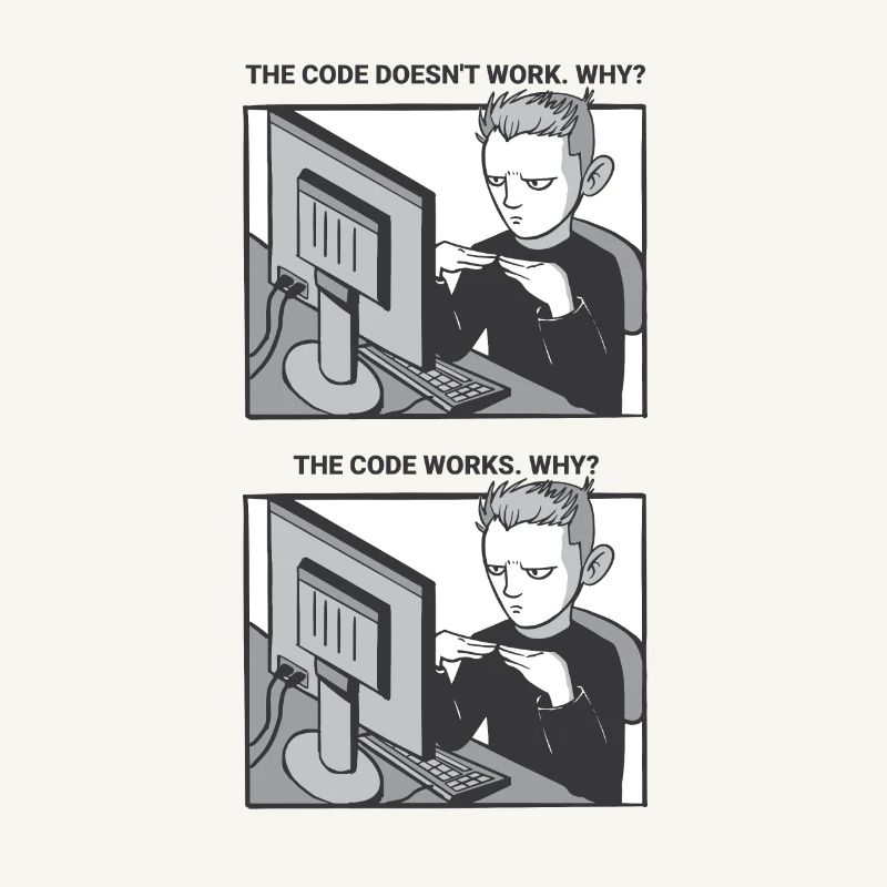 "My Code Works. WHY?" | Programmierer