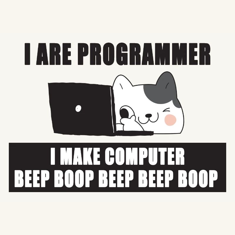 Ich bin Programmierer