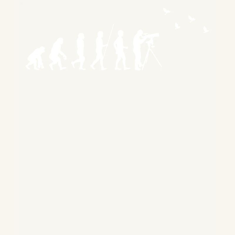 Observation des oiseaux - Observation des oiseaux - Evolution - fun