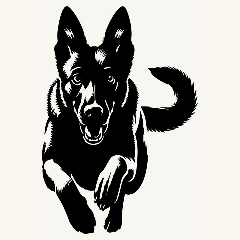 Malinois