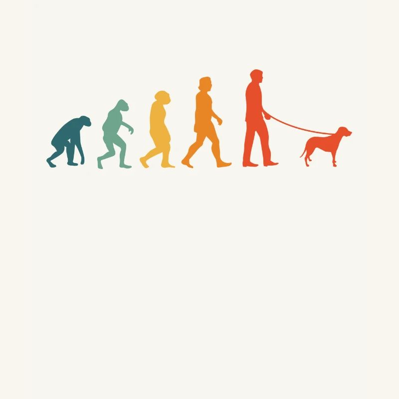 Brandlbracke Evolution Retro Bracke Chien